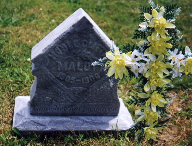 Small headstone reading Malott 1905-1906, given name obscured by decoration