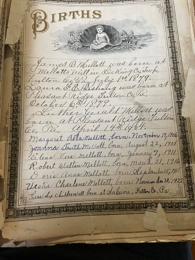 Handwritten &ldquo;Births&rdquo; page of a family Bible listing James O. Mellott, Laura F. E. Deshong, Luther Gerald Mellott and six more Mellott children born at Saluvia, Fulton County, Pennsylvania